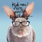 grappige paaskaart konijn met bril